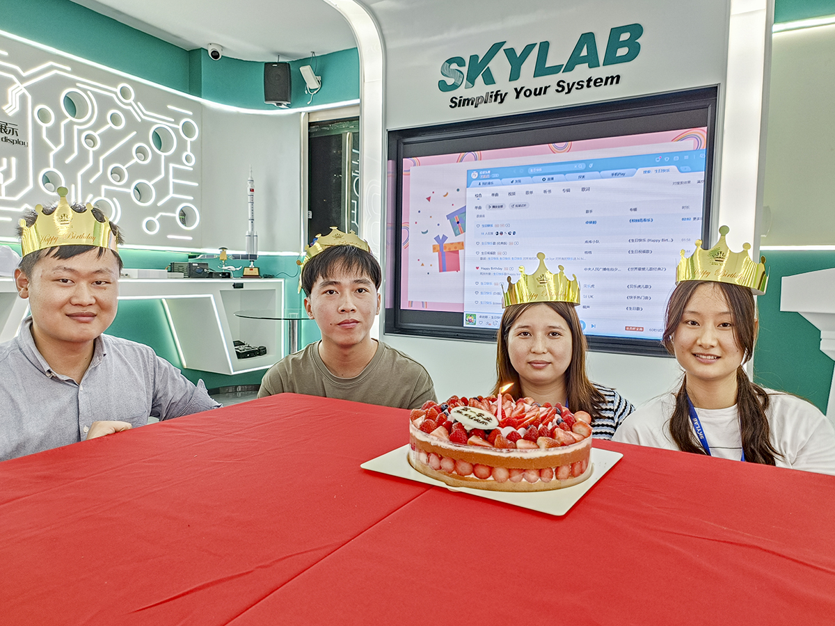 赴一场春日之约|SKYLAB 2023年第一季度生日会、迎新会